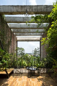 An Oasis of Green: Inside the Breathtaking Eco-Friendly Home in Bac Ninh - image 1