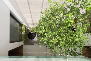 An Oasis of Green: Inside the Breathtaking Eco-Friendly Home in Bac Ninh - image 0