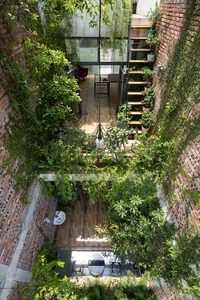 An Oasis of Green: Inside the Breathtaking Eco-Friendly Home in Bac Ninh - image 9