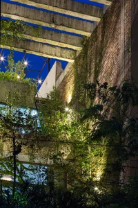 An Oasis of Green: Inside the Breathtaking Eco-Friendly Home in Bac Ninh - image 4