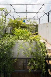 An Oasis of Green: Inside the Breathtaking Eco-Friendly Home in Bac Ninh - image 12