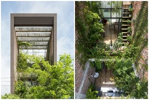 An Oasis of Green: Inside the Breathtaking Eco-Friendly Home in Bac Ninh - image 3
