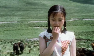 Li Xiaolu: The Resilient U50 Beauty Thriving Beyond Showbiz Scandals - image 4