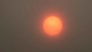 The True Color of the Sun: A Scientific Revelation That Surprises Experts - image 7