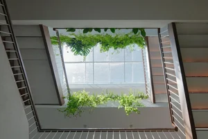 Nha Trang Home Transformation: Revitalizing a 3-Story Tube House After a Decade - image 10