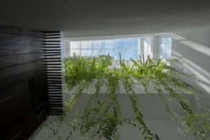 Nha Trang Home Transformation: Revitalizing a 3-Story Tube House After a Decade - image 12