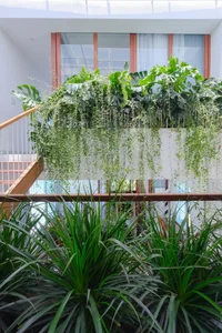 Nha Trang Home Transformation: Revitalizing a 3-Story Tube House After a Decade - image 16