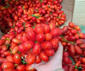 From Wild Fruit to Summer Delicacy: The Rise of the 250,000 VND/kg Specialty - image 4