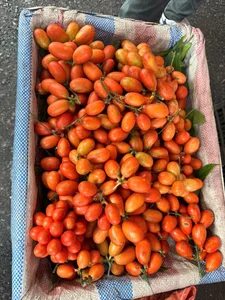 From Wild Fruit to Summer Delicacy: The Rise of the 250,000 VND/kg Specialty - image 2