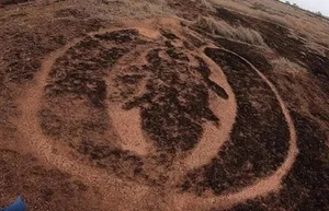 Unlocking the Past: 12,000-Year-Old Petroglyphs Reveal Ancient Civilizations - image 6