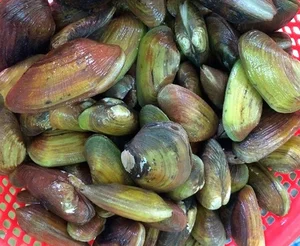 From 'Cheap' to 'Royal': The Rising Value of Traditional Delicacies - image 2