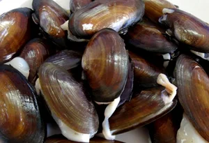 From 'Cheap' to 'Royal': The Rising Value of Traditional Delicacies - image 8