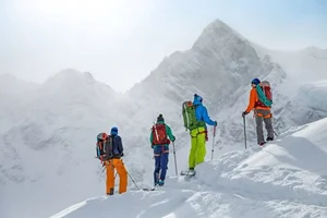 Exploring the Hidden Wonders and Wildlife of the Alps - image 3