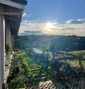 A Closer Look at the Breathtaking 2,000m2 Eco-Friendly Garden Estate of a Renowned Artist - image 4
