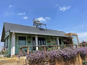 A Closer Look at the Breathtaking 2,000m2 Eco-Friendly Garden Estate of a Renowned Artist - image 6