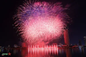 USA and Italy Illuminate the Sky at Da Nang International Fireworks Festival - image 3