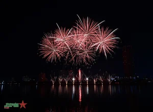 USA and Italy Illuminate the Sky at Da Nang International Fireworks Festival - image 8