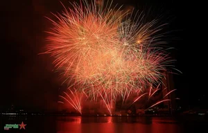 USA and Italy Illuminate the Sky at Da Nang International Fireworks Festival - image 5