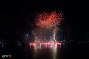 USA and Italy Illuminate the Sky at Da Nang International Fireworks Festival - image 6