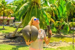 Astonishing Coco de Mer: Discover the world's largest sea coconut seed, weighing 25kg, unique to Seychelles! - image 4