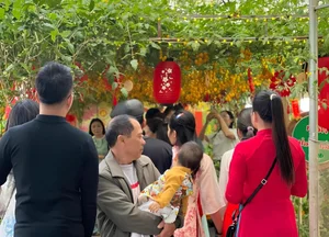 AI-Inspired Tomato Garden Becomes a Viral Check-In Spot for Spring - image 9