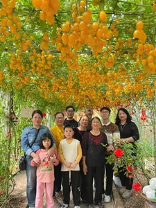 AI-Inspired Tomato Garden Becomes a Viral Check-In Spot for Spring - image 4