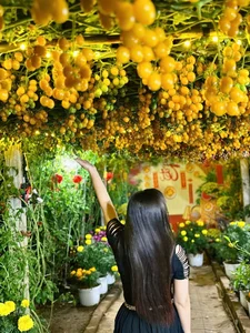 AI-Inspired Tomato Garden Becomes a Viral Check-In Spot for Spring - image 5