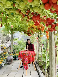 AI-Inspired Tomato Garden Becomes a Viral Check-In Spot for Spring - image 6