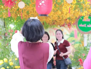 AI-Inspired Tomato Garden Becomes a Viral Check-In Spot for Spring - image 0