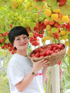 AI-Inspired Tomato Garden Becomes a Viral Check-In Spot for Spring - image 1