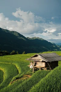 Mu Cang Chai: A Green Paradise During the Rice Season - image 4
