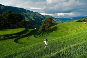 Mu Cang Chai: A Green Paradise During the Rice Season - image 6