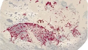 World's Oldest Cave Painting Discovered: A Breakthrough in Human History - image 3