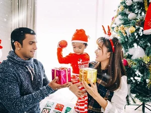 Vietnamese Celebrities and Their Indian Love Stories: A Closer Look at Phuong Thanh and Other Famous Couples - image 1
