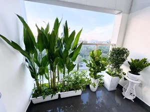 Inside Singer Pha Le's Luxurious Mansion in Elite Neighborhood - image 5