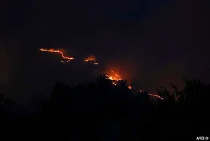 A Visual Report: The Devastating Impact of Wildfires Across Europe During Recent Heatwaves - image 0