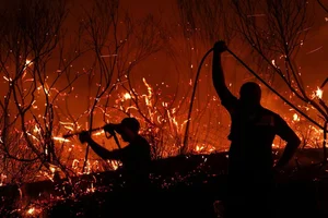 A Visual Report: The Devastating Impact of Wildfires Across Europe During Recent Heatwaves - image 2