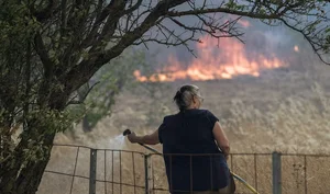 A Visual Report: The Devastating Impact of Wildfires Across Europe During Recent Heatwaves - image 3