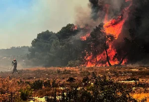 A Visual Report: The Devastating Impact of Wildfires Across Europe During Recent Heatwaves - image 5