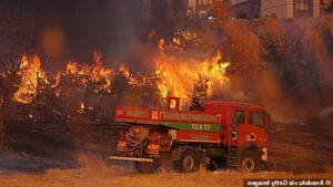 A Visual Report: The Devastating Impact of Wildfires Across Europe During Recent Heatwaves - image 9