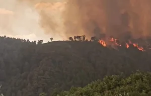 A Visual Report: The Devastating Impact of Wildfires Across Europe During Recent Heatwaves - image 4