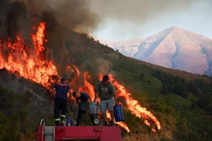 A Visual Report: The Devastating Impact of Wildfires Across Europe During Recent Heatwaves - image 11