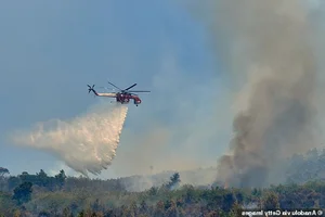 A Visual Report: The Devastating Impact of Wildfires Across Europe During Recent Heatwaves - image 8