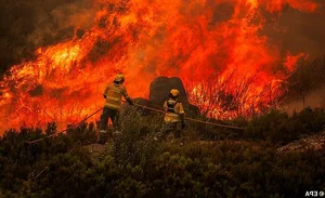 A Visual Report: The Devastating Impact of Wildfires Across Europe During Recent Heatwaves - image 7
