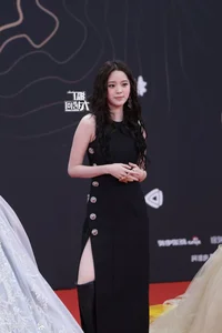Star Studded Red Carpet Highlights at Tencent Video All Star Awards 2025 - image 23