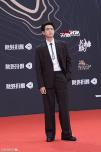 Star Studded Red Carpet Highlights at Tencent Video All Star Awards 2025 - image 28