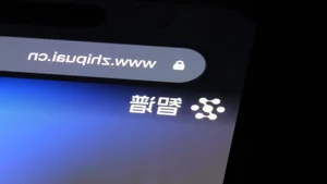 Chinese AI Startup Shakes Tech Industry, Prompting Warning from OpenAI - image 7
