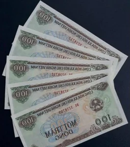 Mystery of the Smallest and Rarest Vietnamese Banknote in Circulation - image 8