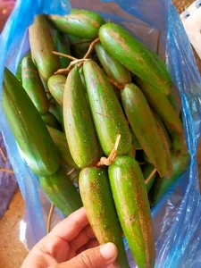 From Wild Fruit to Summer Delicacy: The Rise of a Once-Forgotten Foraged Snack - image 1