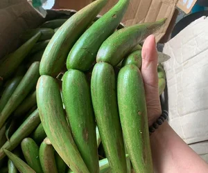 From Wild Fruit to Summer Delicacy: The Rise of a Once-Forgotten Foraged Snack - image 4